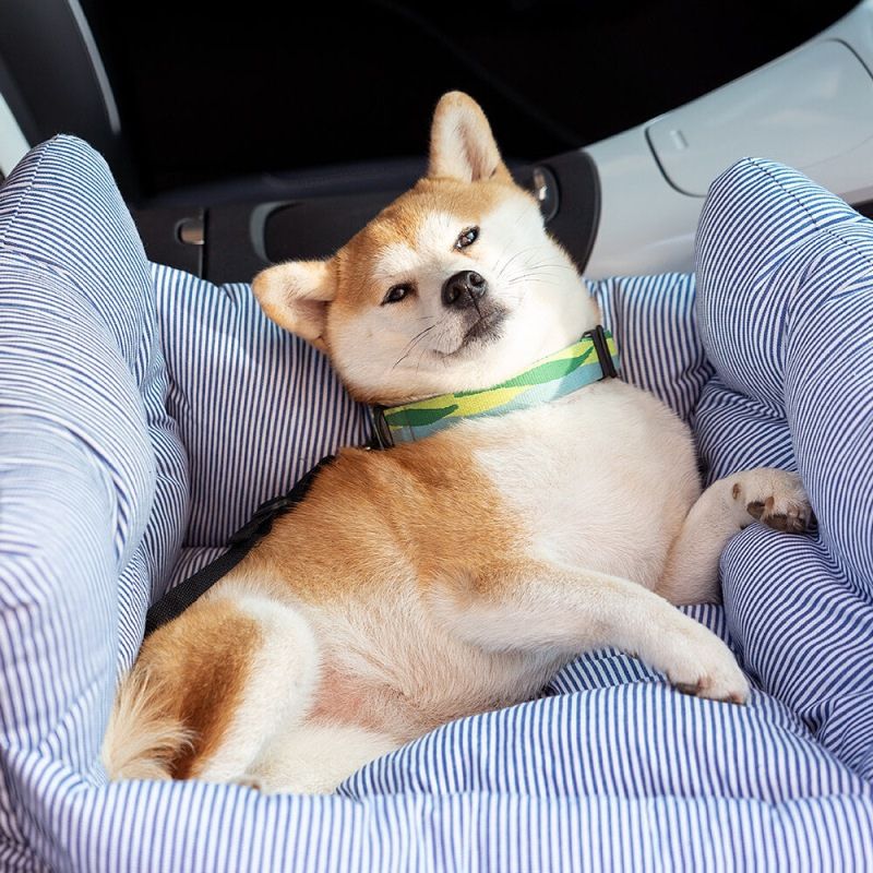 Portable Car Seat Bed