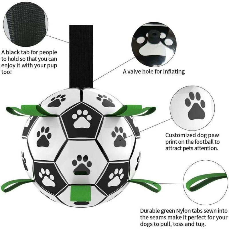 Inflatable Pet Ball