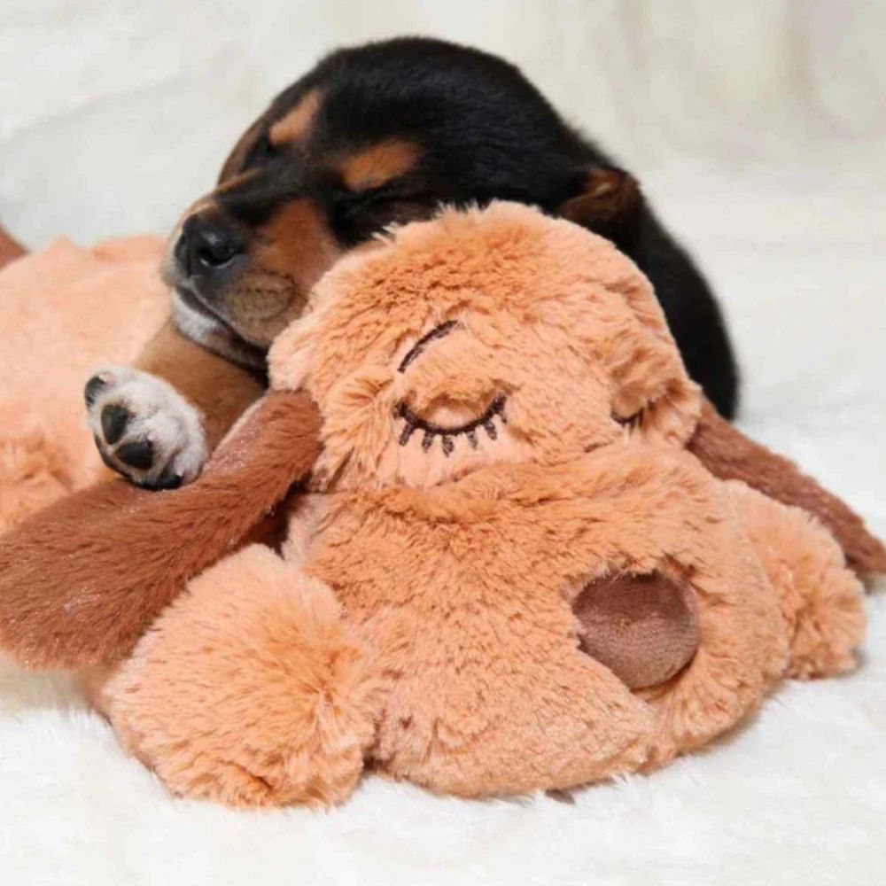 Heartbeat Calming Buddy