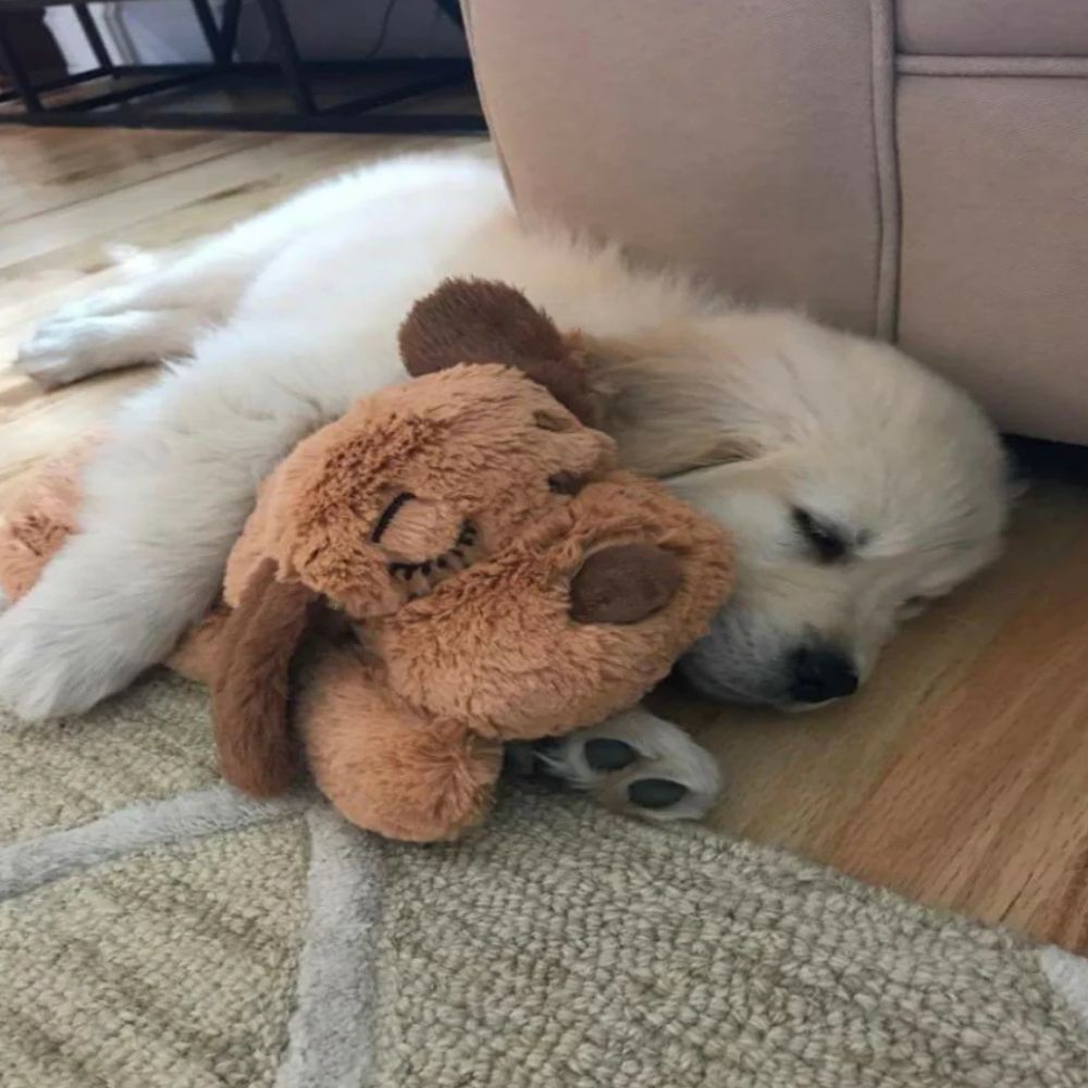 Heartbeat Calming Buddy
