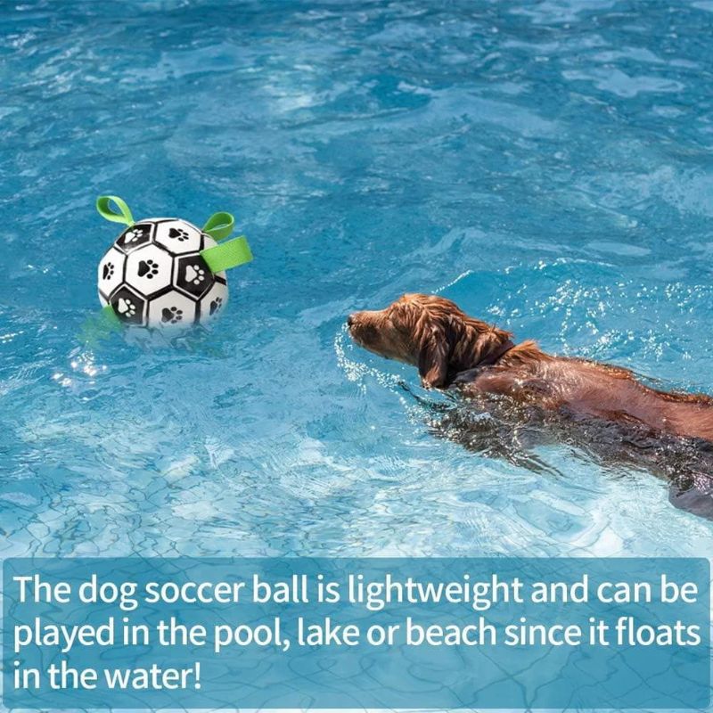 Inflatable Pet Ball