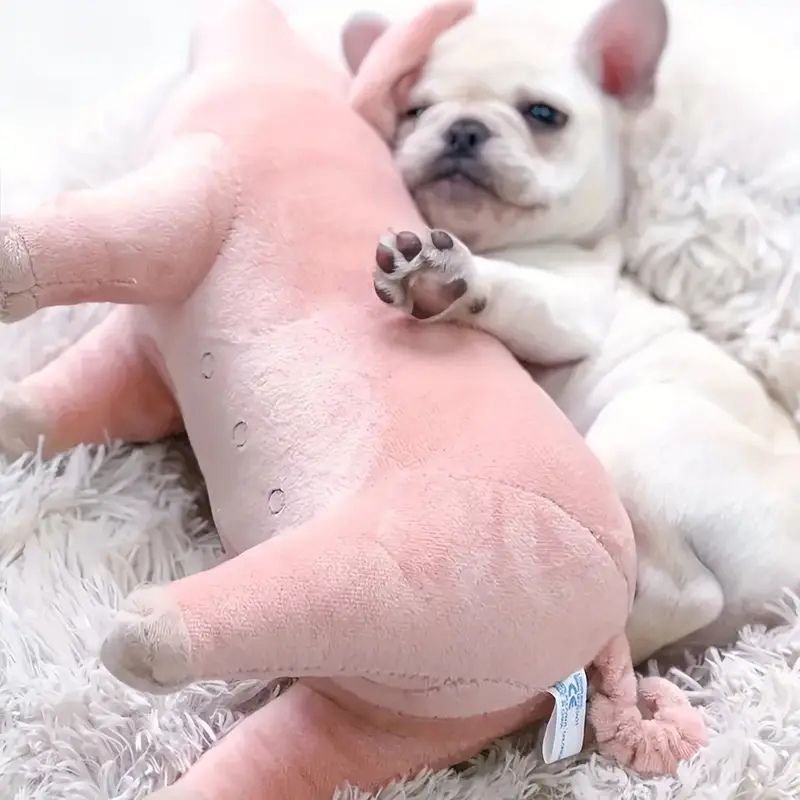 Piggy Buddy Pal