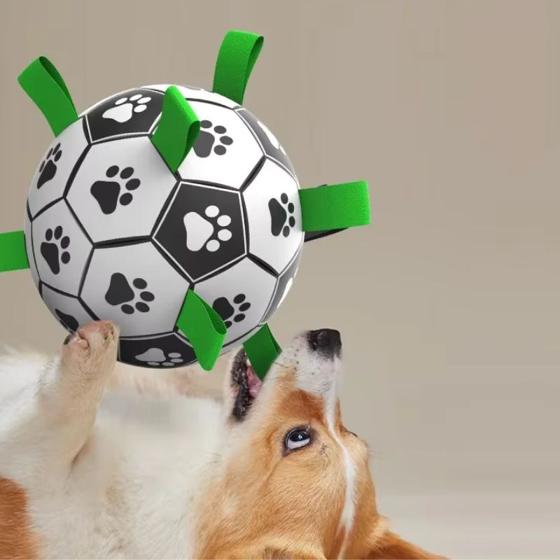 Inflatable Pet Ball