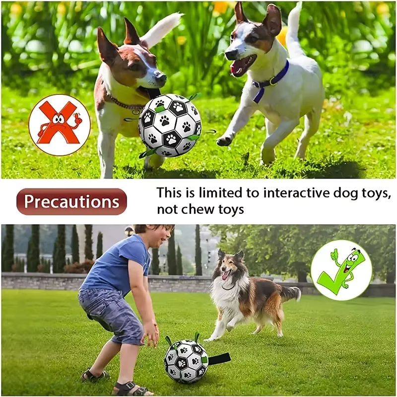 Inflatable Pet Ball