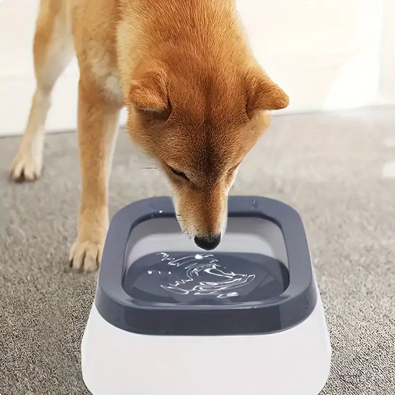 No-Spill Pet Water Bowl