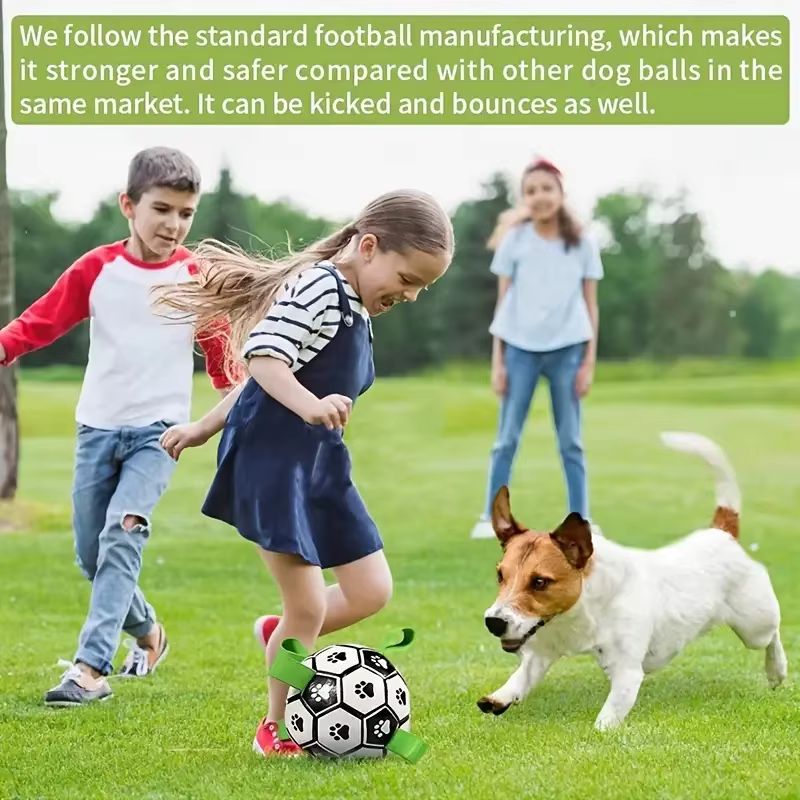Inflatable Pet Ball