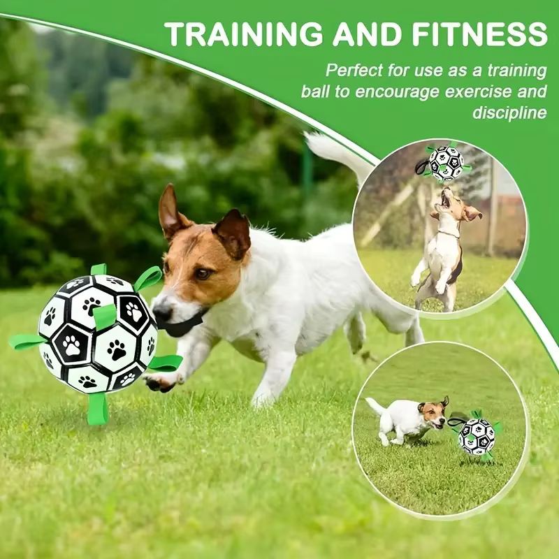 Inflatable Pet Ball
