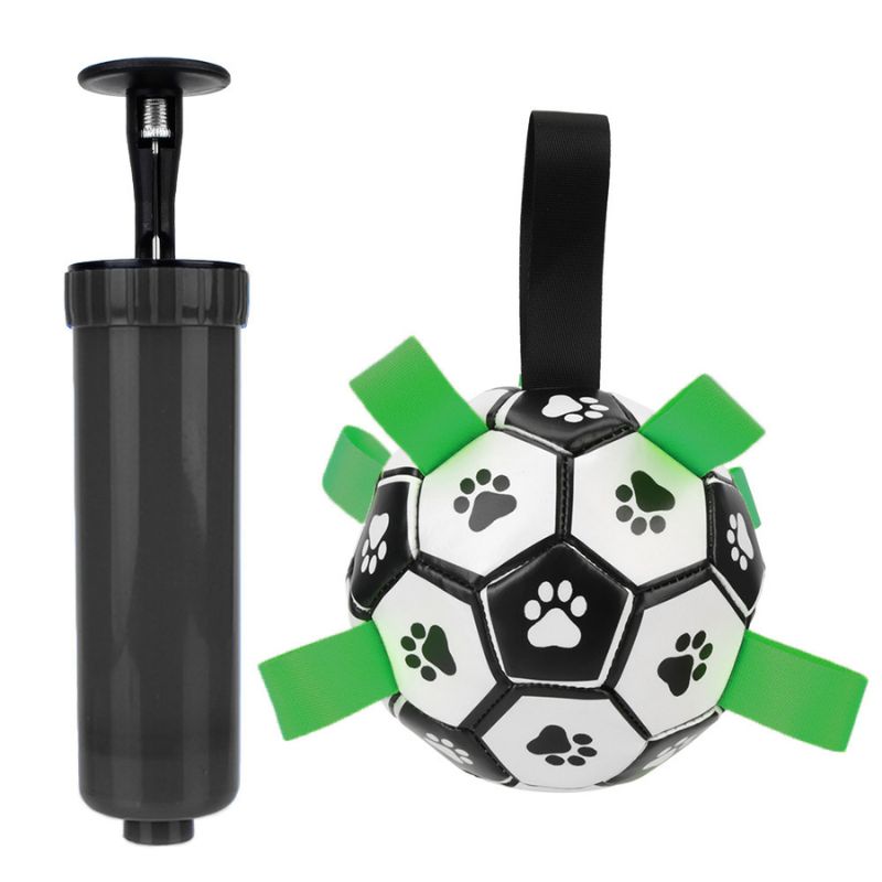 Inflatable Pet Ball