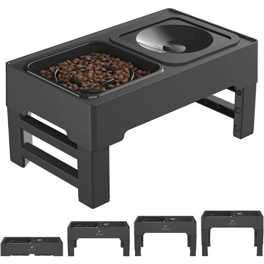 2-in-1 Elevated Feeding Station