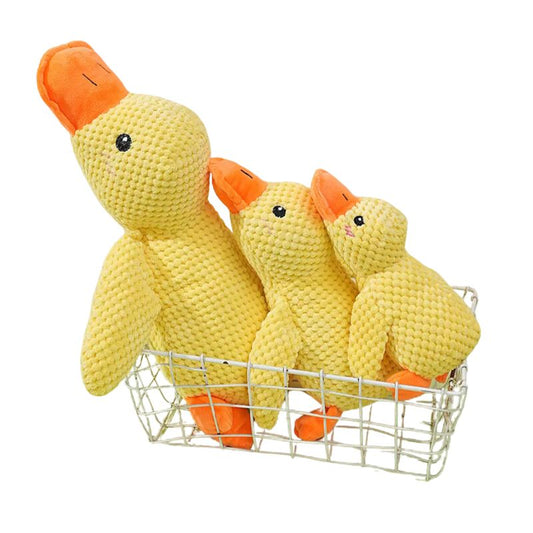 Squeezy Duck
