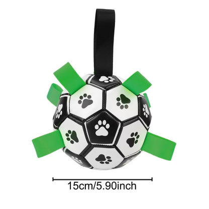 Inflatable Pet Ball