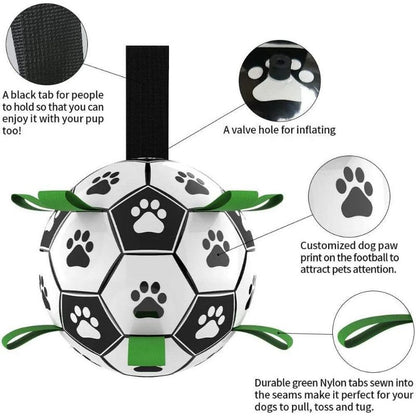 Inflatable Pet Ball