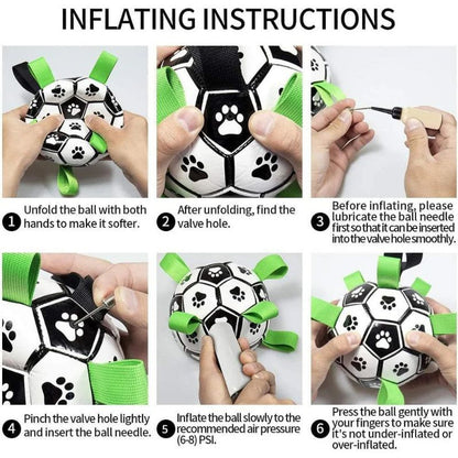 Inflatable Pet Ball