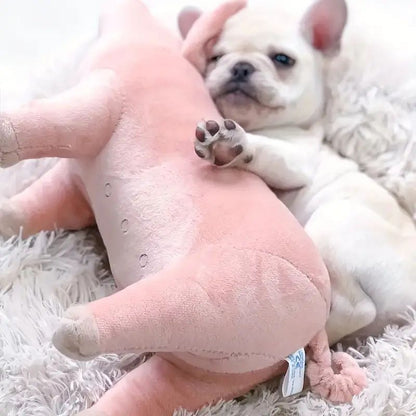 Piggy Buddy Pal