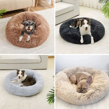 Calming Dog Bed