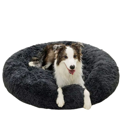 Calming Dog Bed