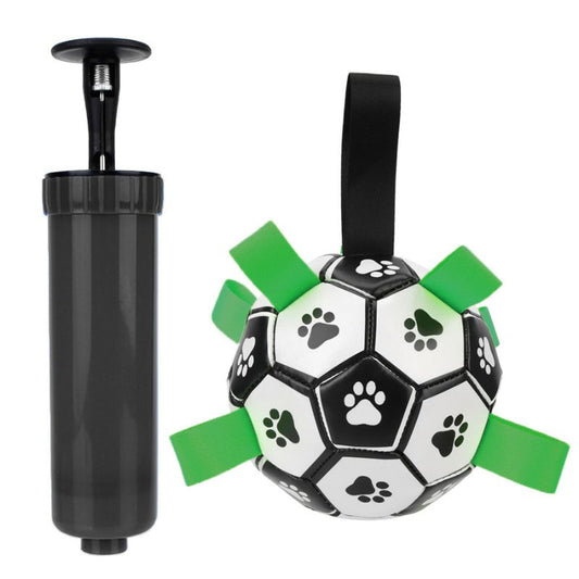 Inflatable Pet Ball